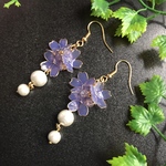 芝桜 ディップアートのパープルフラワーピアス or イヤリング