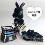 うちの子ｼﾘｰｽﾞ★幸太くん★着せ替えｳｻｷﾞ&まるっこうさぎのｸﾘｯﾌﾟ