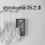こちらは専用ページです