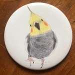 缶バッジミラー　オカメインコ