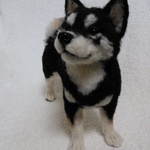 羊毛フェルト　「黒柴犬」