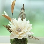 『苔玉』∞自然素材SANOEフラワーロータスで∞
