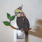 ナイトライト・オカメインコ