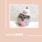 ストロベリーケーキ