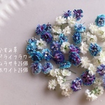 送料無料♡かすみ草ドライフラワー