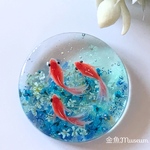 ネモフィラと空の中へ～３匹の小赤