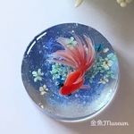 波紋の金魚～ネモフィラ（円形）