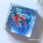 波紋の金魚～ネモフィラ（正方形）