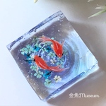 波紋の金魚～ネモフィラ（正方形）