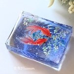 波紋の金魚～ネモフィラ（長方形）