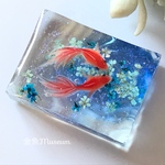波紋の金魚～ネモフィラ（長方形）