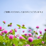 goripullさま専用ページ