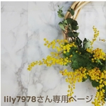 lily7978さん専用ページ