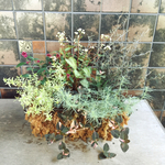 秋の寄せ植えinワイヤーボックス