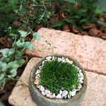 まんまる陶器のサギナ