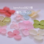 kenchico0821様 専用ページ