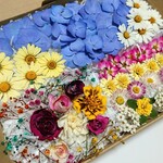 ドライフラワーアソート【紫陽花日記】