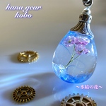 氷結の花 蕾付き