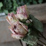 クリスタルドレス 一輪バラのドライフラワー（4本組）