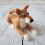 柴犬伏せポーズ