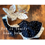 犬服　チューブトップ のキャミソール　ドット柄
