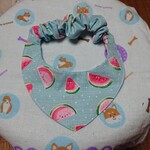 ＱTシリーズ(バンダナシュシュ※スイカ🍉)