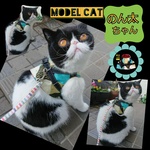 猫ちゃん用ハーネス(黒猫・白猫・和モダン柄)Ｓ－Ｍサイズ