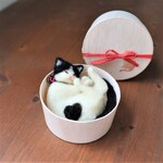 小箱ねこ　ごま♥　Φ10cm★全国発送一律400円