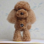 ご注文品 あみぐるみ 『トイプードルSちゃん』様
