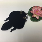 カエル スイスイおたまさん ☆丸三角☆