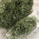 スパニッシュモス　プリザーブドフラワー　10g