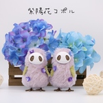 紫陽花コポル(Hydrangea copolu) F・G