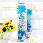 ✧‧˚*ハーバリウム:*海　ギフト　プレゼント　夏　アクアリウム　