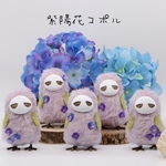 紫陽花コポル(Hydrangea copolu) H〜L