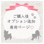 購入後の追加オプション専用ページ☆