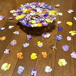 お花屋さんが作ったビオラのドライフラワー山盛り100枚です！