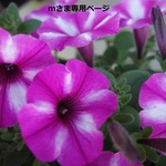 専用ページ