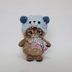 クマさん(チンチラゴールデン)