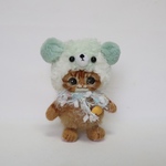 クマさん(茶トラ)