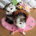 仲良しキャット（置物）