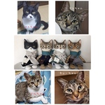【オーダー様専用】うちの子♥猫人形  ぬいぐるみ