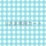 umikazeさまオーダー分　ドロップショルダープルオーバー　リバティ 2点