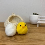 うまれたてのひよこさん