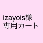 izayois様専用カート♡アイシングクッキーセット♡