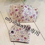 立体マスク　マスクケースセット