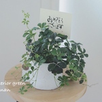 メッセージ付petit gift❁*。シュガーバイン❁*。