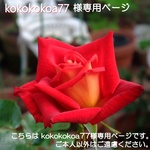 kokokokoa様専用ページ