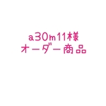 a30m11様  ご注文商品