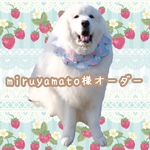 ♡miruyanato様オーダー♡
