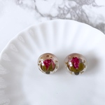 ドライフラワー ピアス/イヤリング